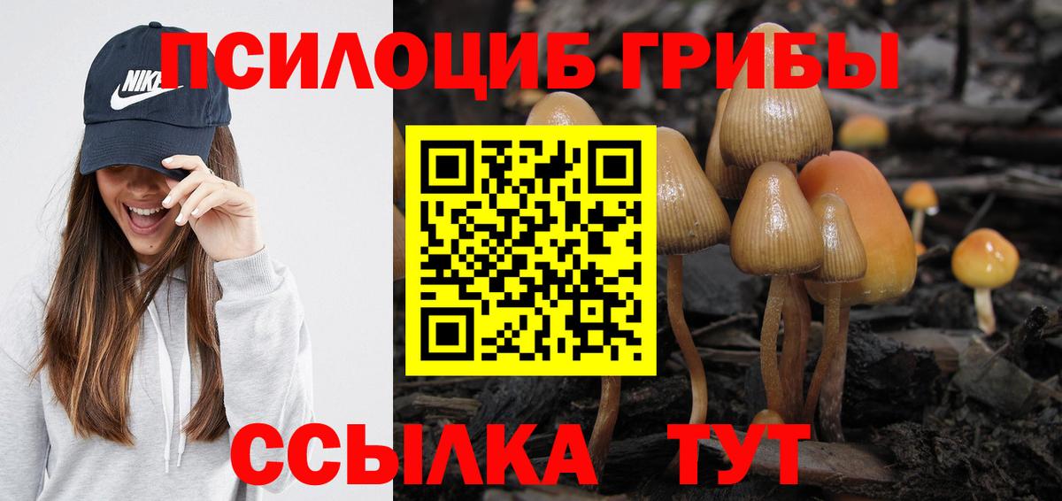 Галлюциногенные грибы ЛСД Южноуральск